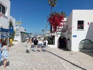 Ofelia merge la Monastir